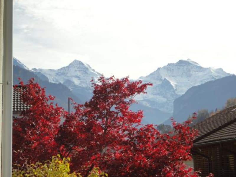 EIGER, MÖNCH UND JUNGRAU - TOP AUSSICHT! (1)
