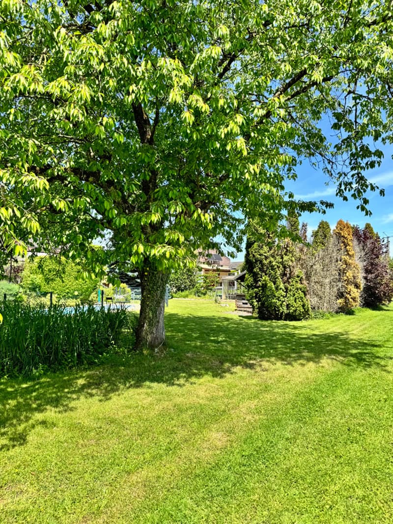 La felicità della tua famiglia con piscina e grande giardino (20)