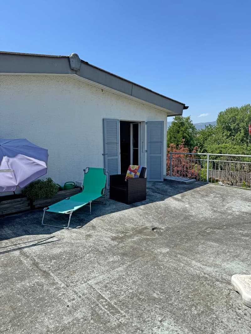Charming double-family house in a beautiful location (17)