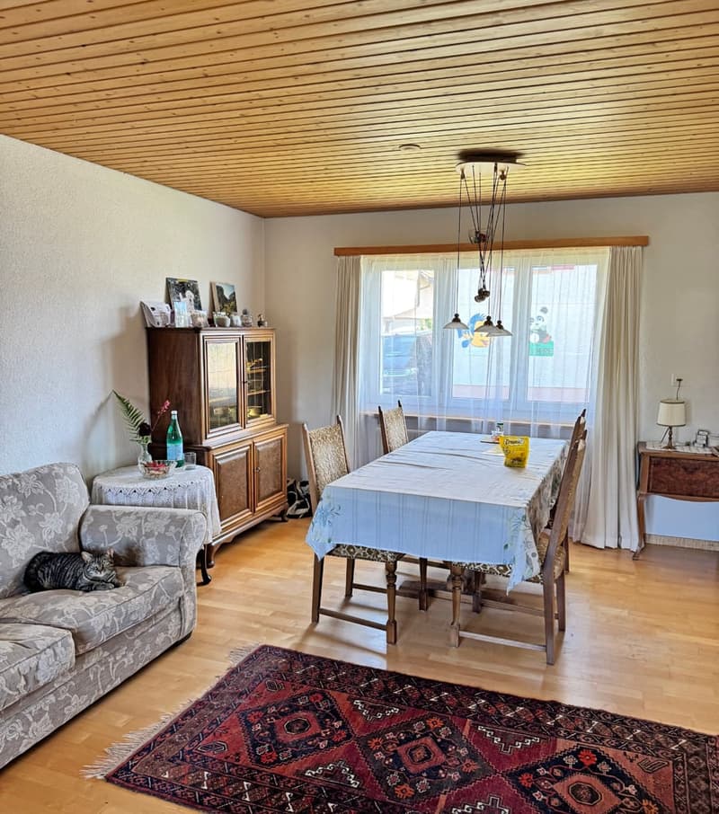 Charming double-family house in a beautiful location (12)