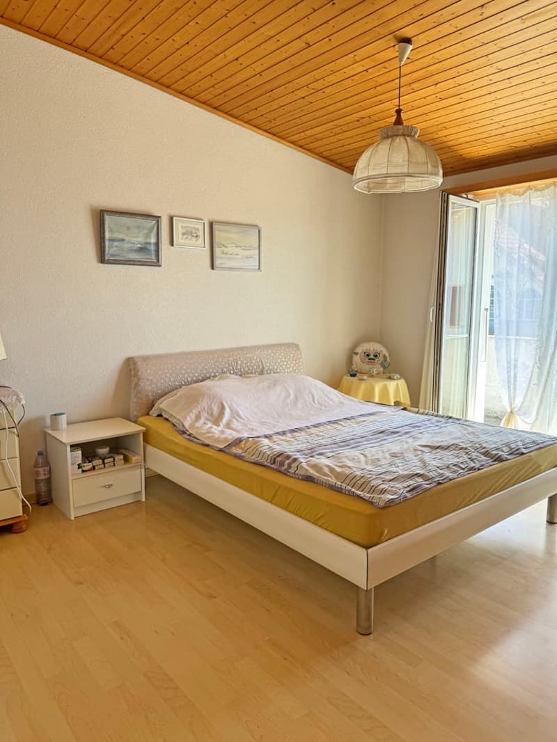 Charming double-family house in a beautiful location (15)