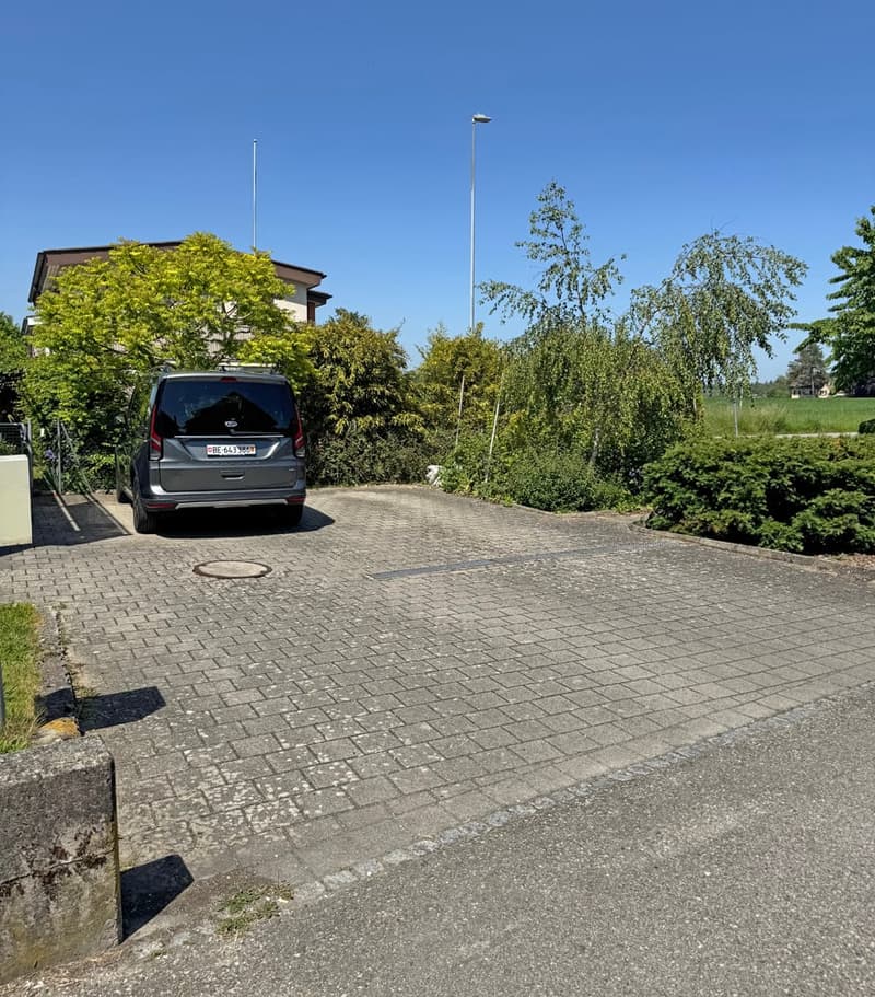 The charming home with a large garden (4)