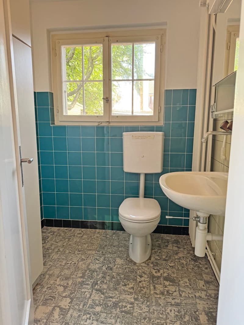 A spacious home in the heart of Madiswil (7)