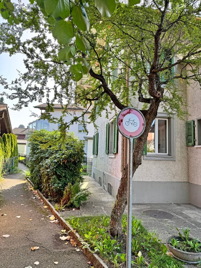 A spacious home in the heart of Madiswil (4)