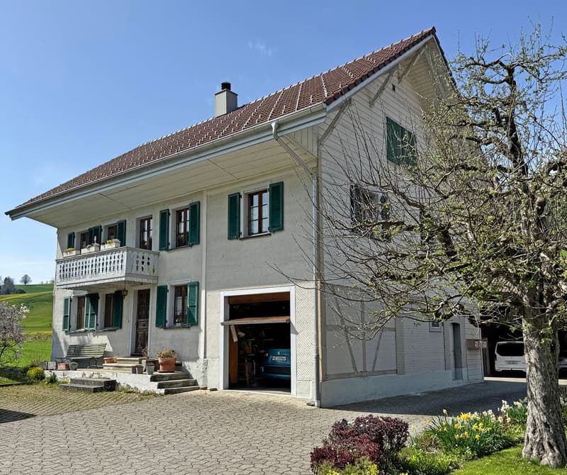 Generationen- od. Zweifamilienhaus mit Platz für alles! (1)