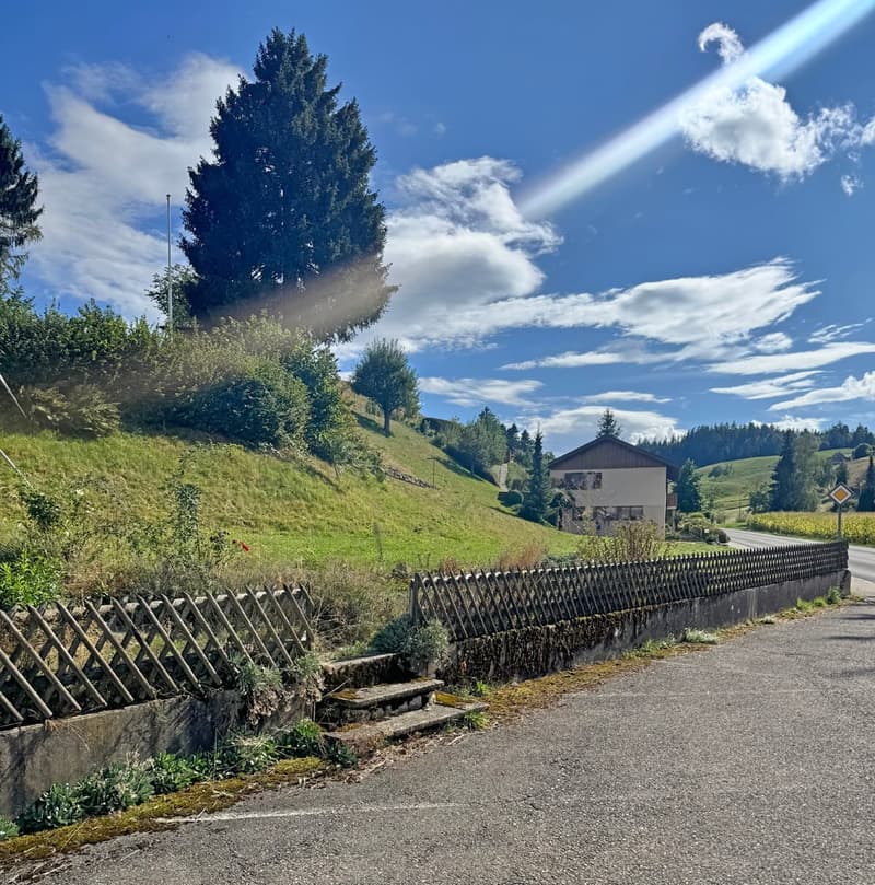 ...urig schön mit grossem Grundstück - tolles Familienhaus... (12)