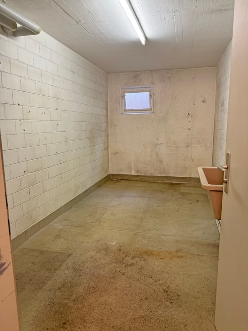 ...greifbar & nahbar - tolle Wohnung mit Balkon... (16)