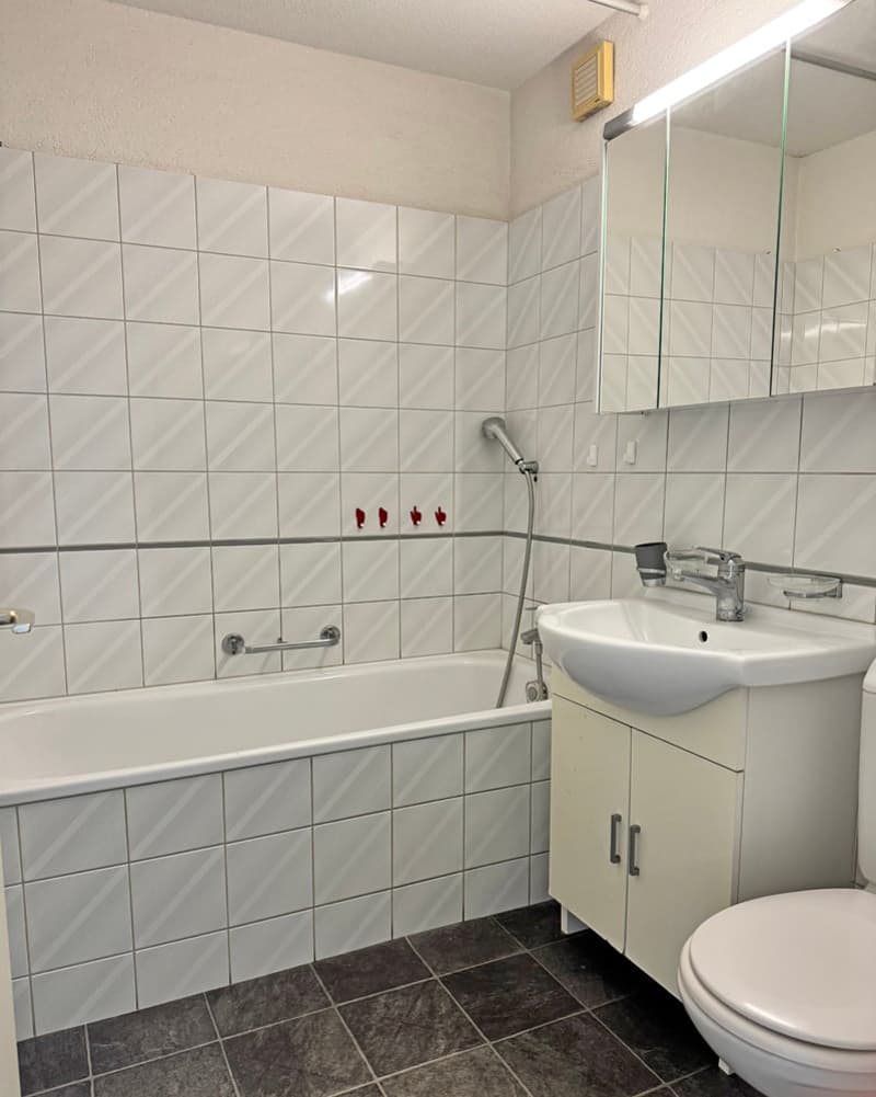 ...greifbar & nahbar - tolle Wohnung mit Balkon... (14)