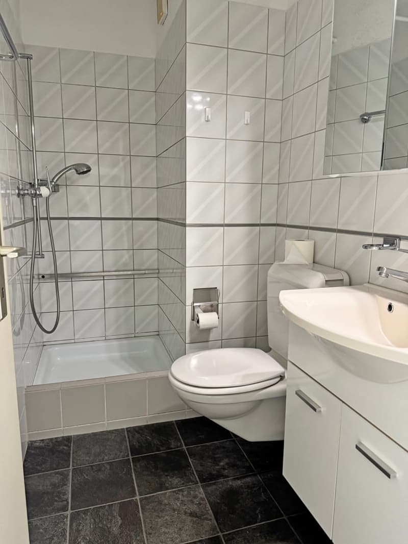 ...greifbar & nahbar - tolle Wohnung mit Balkon... (15)
