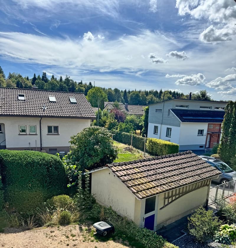 ...grosses Grundstück an bester Lage mit stilvollem Altbau... (21)