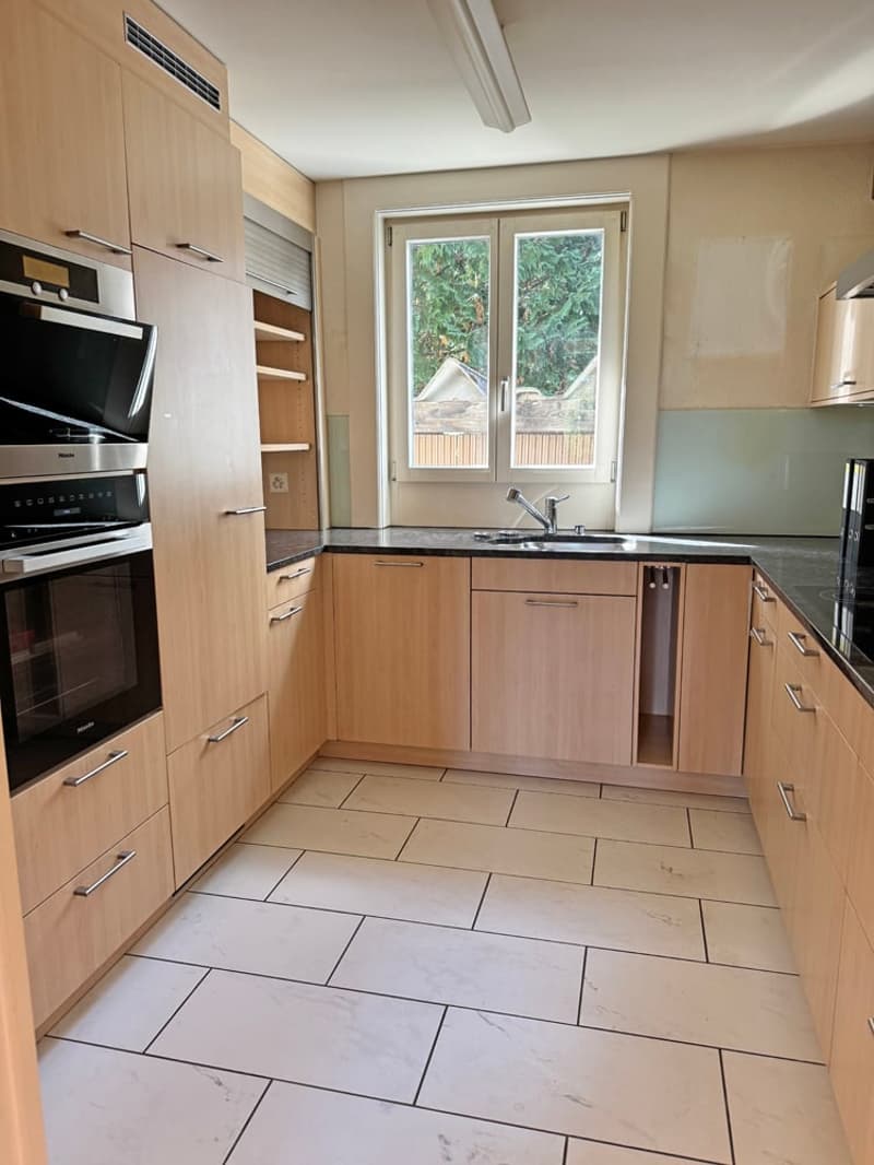 ...grosses Grundstück an bester Lage mit stilvollem Altbau... (9)