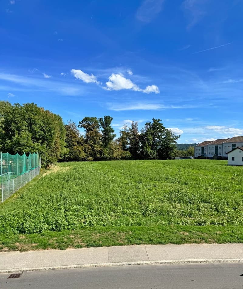 ...grosses Grundstück an bester Lage mit stilvollem Altbau... (18)