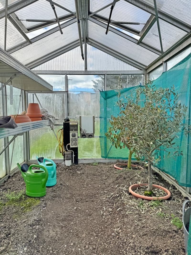 ...grosses Haus, herrlicher Garten, erweiterbar auf 7.5 Zimmer... (24)