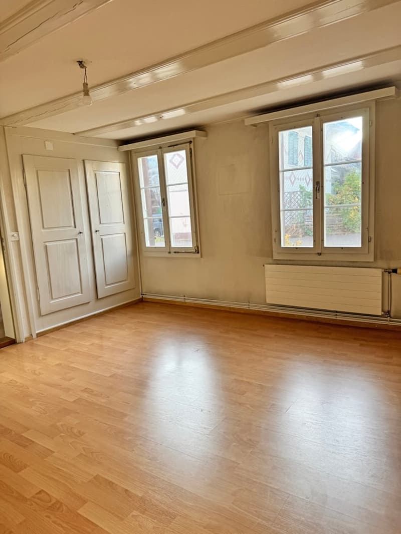 ...charmantes Bauernhaus mit allem, was dazu gehört... (20)