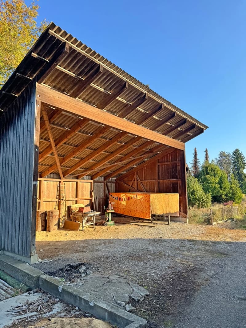 ...charmantes Bauernhaus mit allem, was dazu gehört... (8)