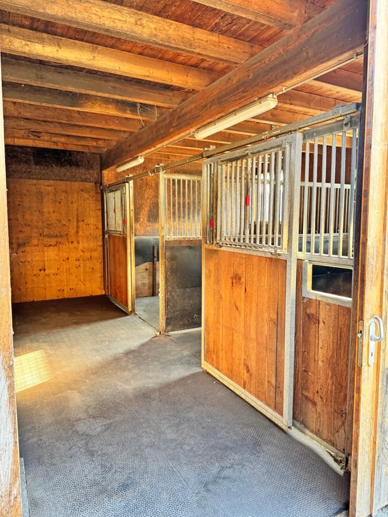 ...charmantes Bauernhaus mit allem, was dazu gehört... (10)