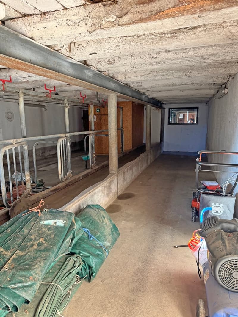 ...charmantes Bauernhaus mit allem, was dazu gehört... (13)