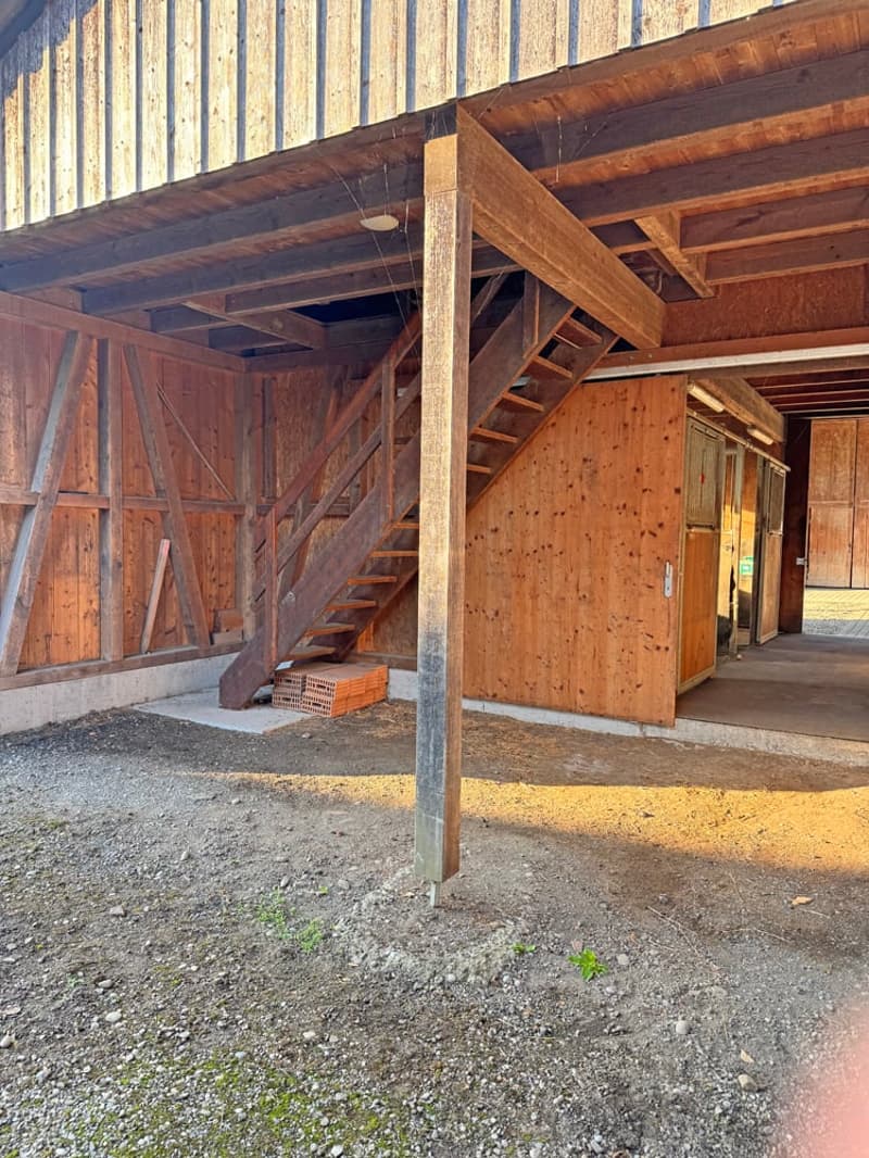 ...charmantes Bauernhaus mit allem, was dazu gehört... (9)