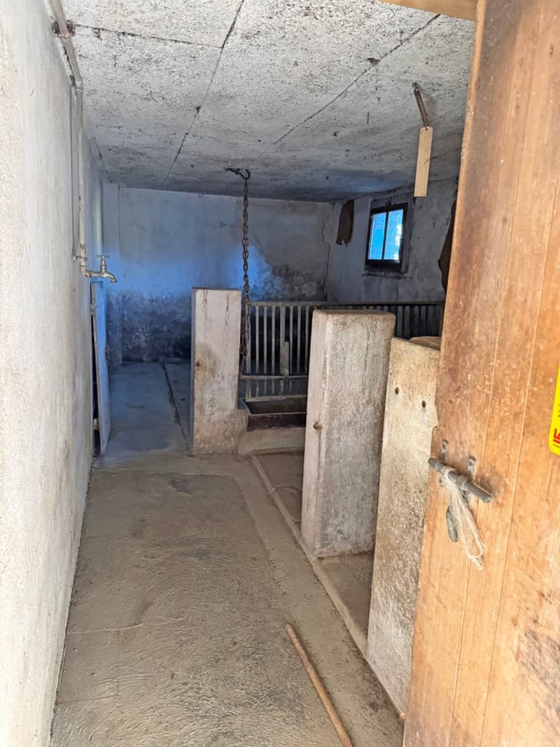 ...charmantes Bauernhaus mit allem, was dazu gehört... (14)