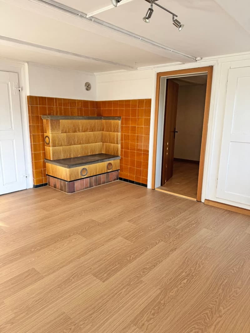 ...charmantes Bauernhaus mit allem, was dazu gehört... (21)