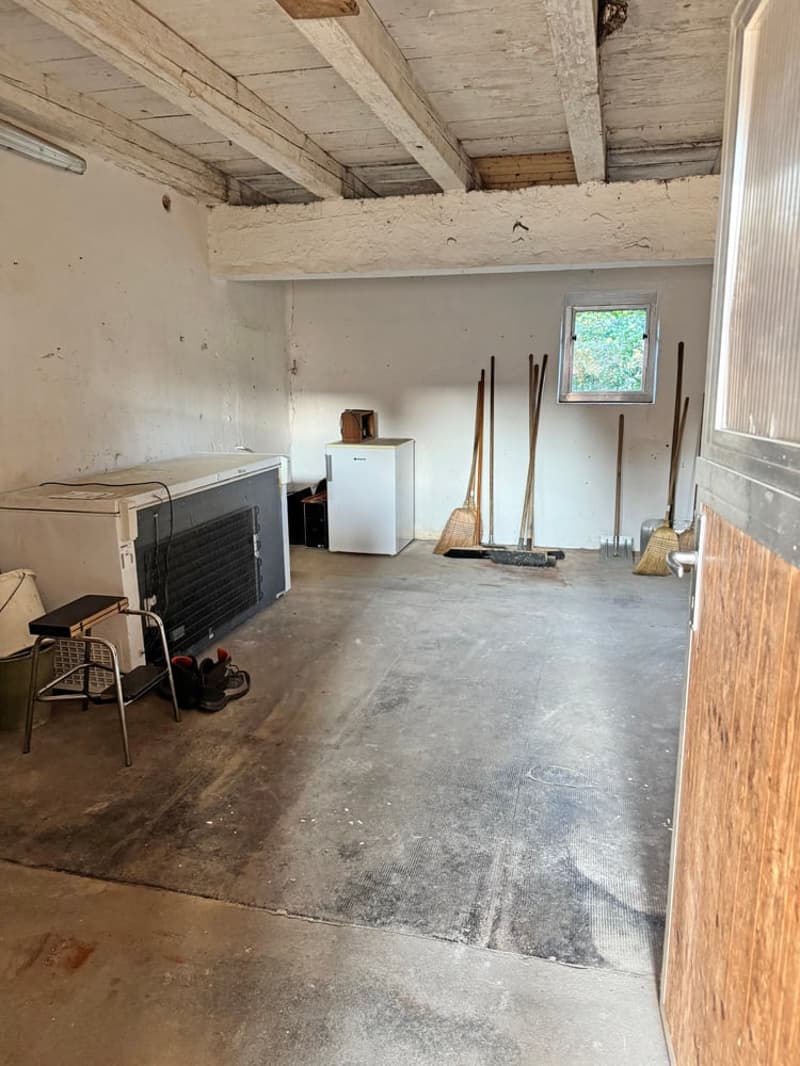 ...charmantes Bauernhaus mit allem, was dazu gehört... (11)