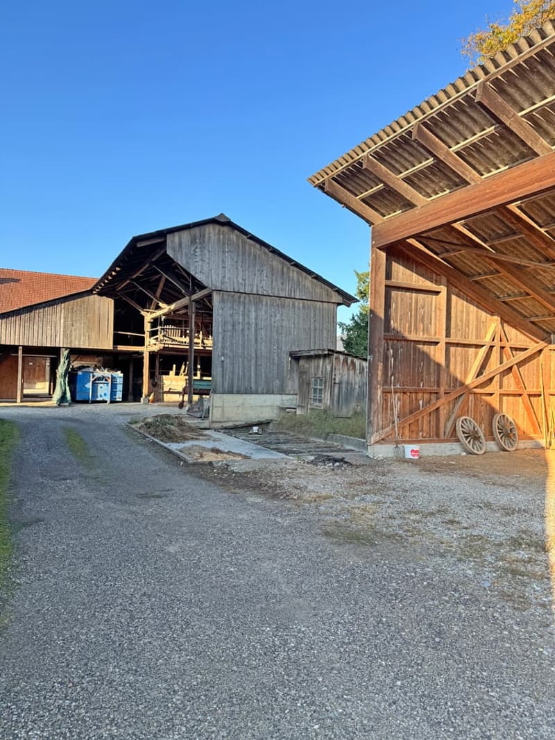 ...charmantes Bauernhaus mit allem, was dazu gehört... (7)