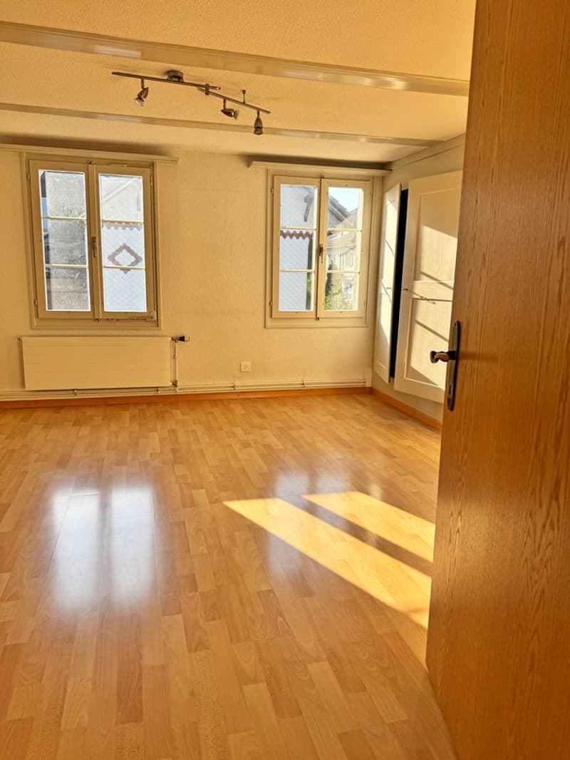 ...charmantes Bauernhaus mit allem, was dazu gehört... (23)