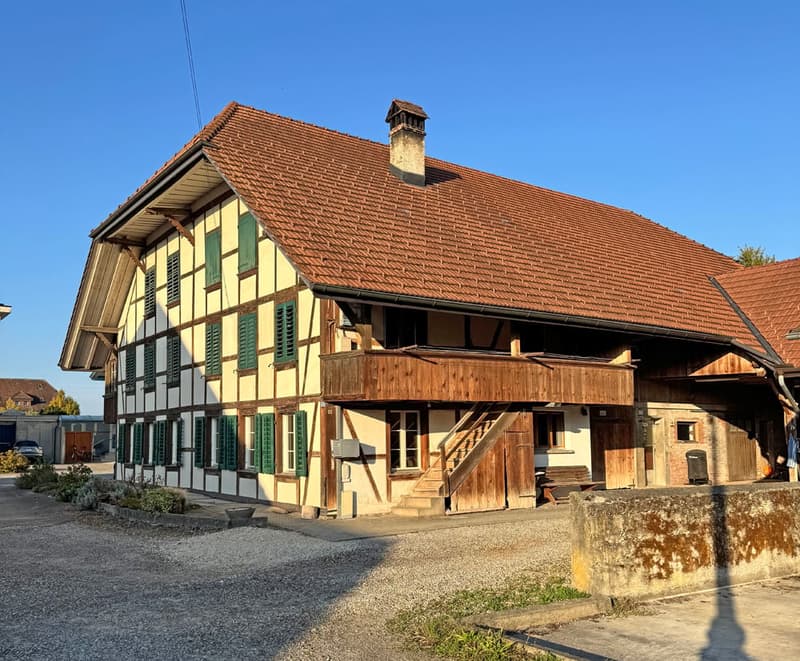 ...charmantes Bauernhaus mit allem, was dazu gehört... (2)