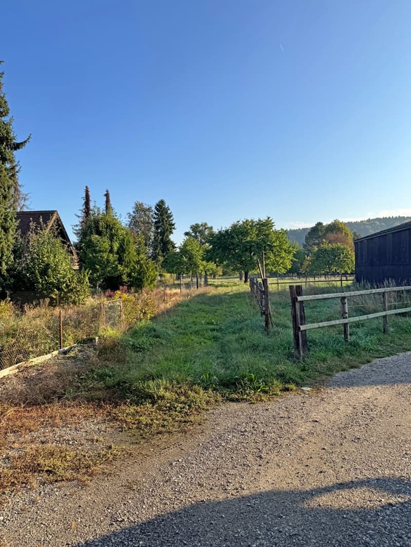 ...charmantes Bauernhaus mit allem, was dazu gehört... (15)