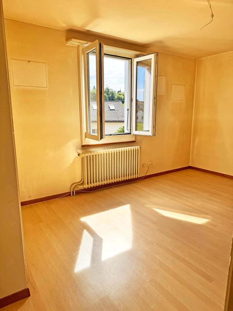 ...grosses Grundstück an bester Lage mit stilvollem Altbau... (20)
