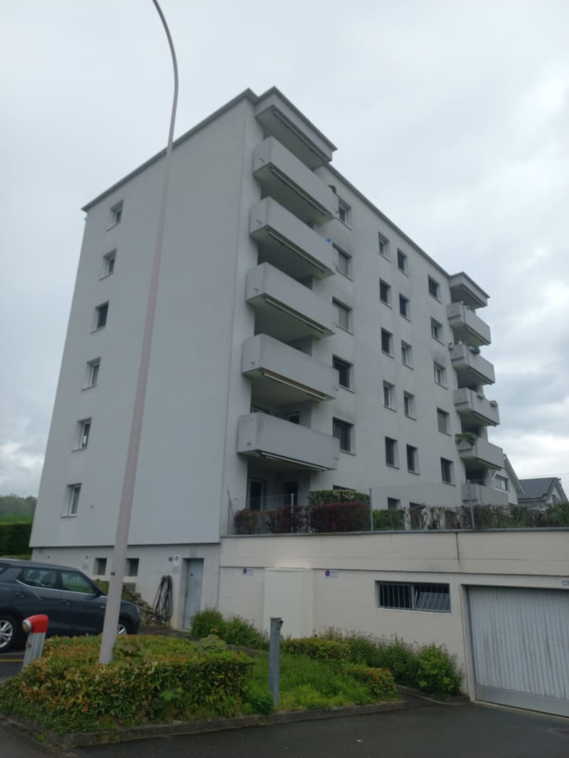 1.5-Zimmer-Wohnung in Eschenbach zu vermieten (1)