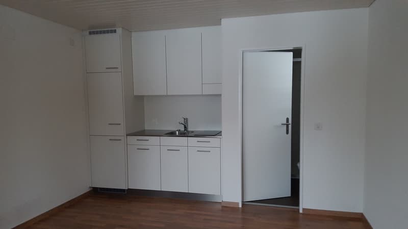 Studio 1 pièce, idéal pour les navetteurs hebdomadaires (1)