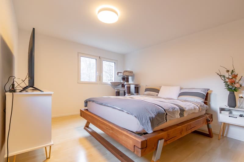bedroom with wooden bed, TV, cat toys, flowers, wooden floor