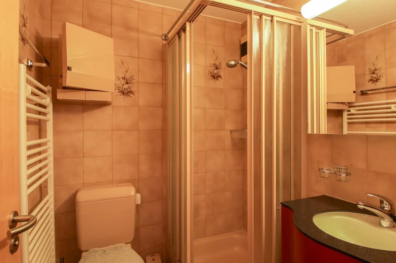 4.5 Zimmer-Wohnung in Brig-Glis (11)