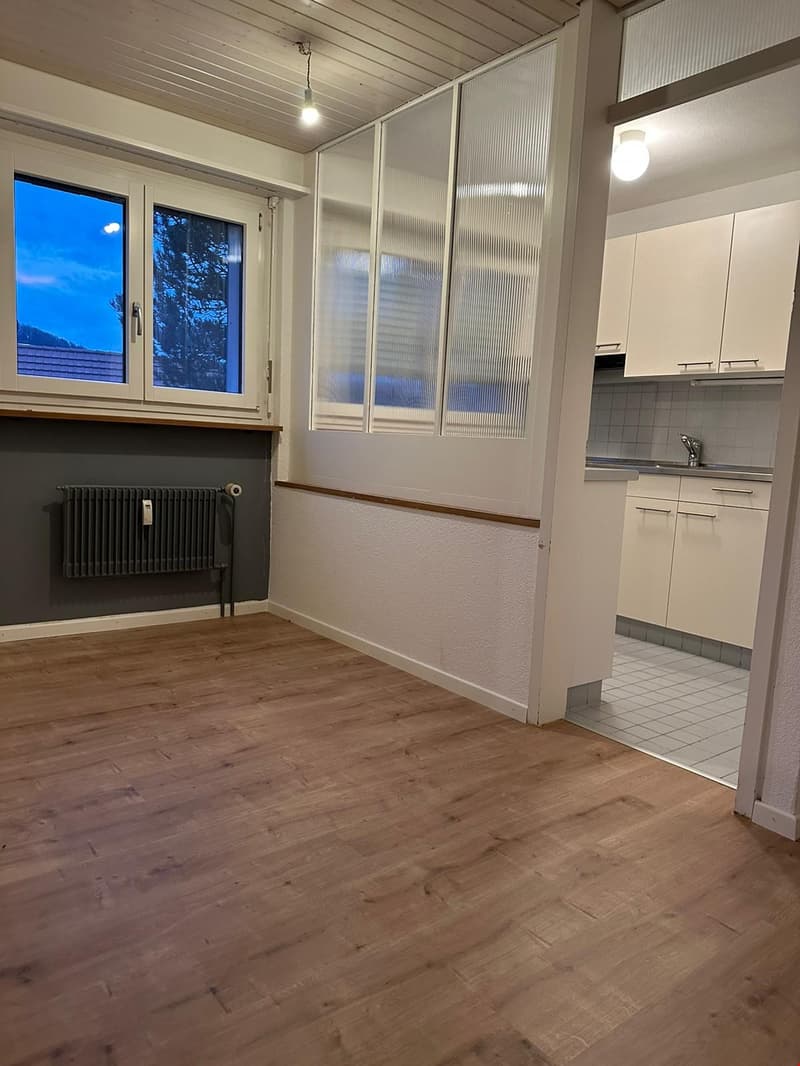 Lichtdurchflutete, kinderfreundliche Wohnung mit grossem Garten (4)