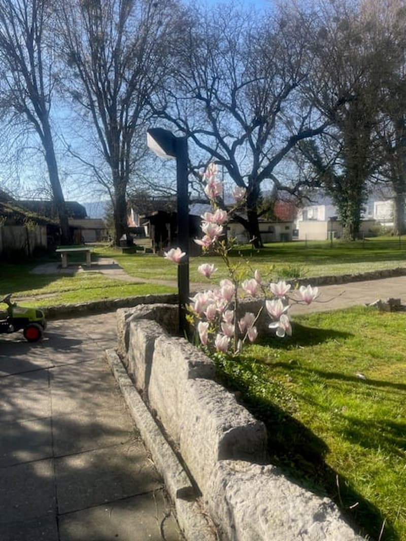 Lichtdurchflutete, kinderfreundliche Wohnung mit grossem Garten und Gartenpavillon (1)