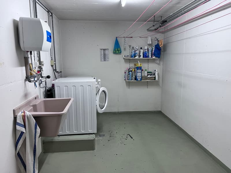The image shows a small laundry room with a washing machine, shelves for storage, and various cleaning supplies and detergents. The room has a concrete floor and white walls.