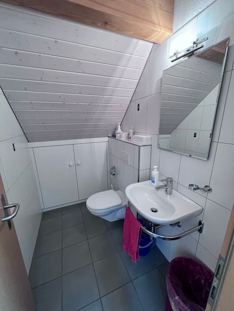 Bathroom with white tiles, wooden ceiling, vanity sink, toilet, and a cabinet.