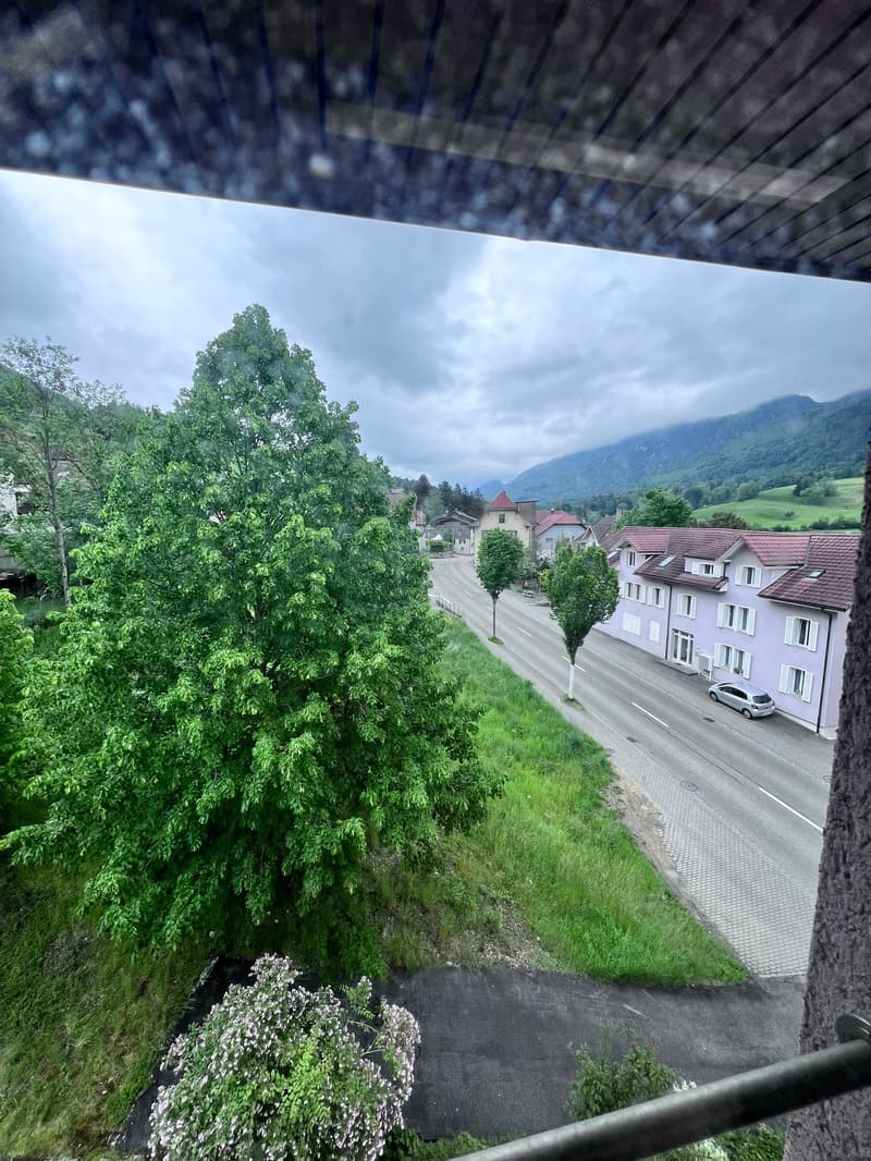 The image shows a view from a balcony or terrace overlooking a small town or village. The scene includes lush green trees and vegetation, a road with parked cars, and buildings with red roofs in the distance. The sky is overcast, creating a moody and atmo
