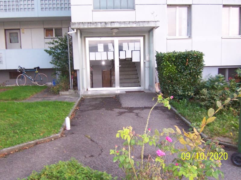 White building with glass doors, bicycle parked outside, stairs leading up, plants and bushes on the side, concrete pathway, date stamp on the image
