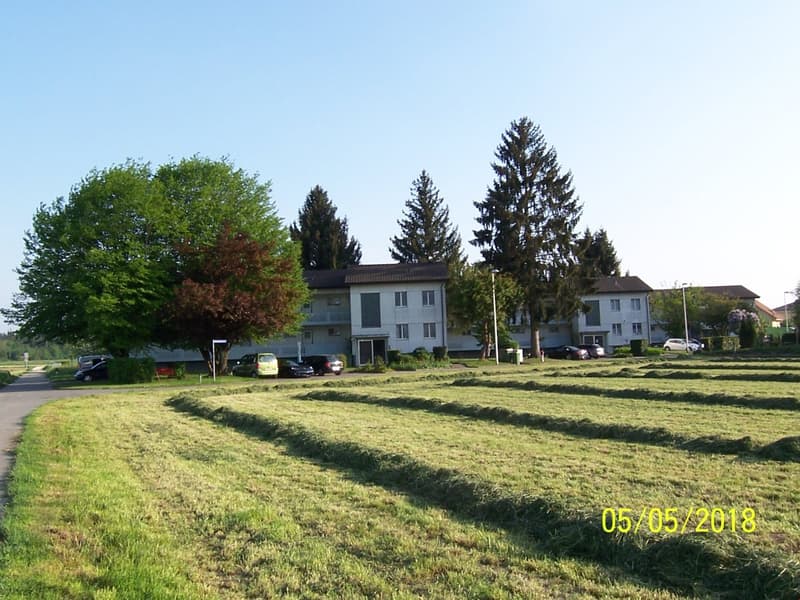 A white building with multiple windows, surrounded by trees and grass, with several cars parked in front.
