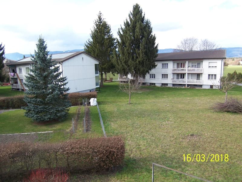 Two white buildings, one with a brown roof, surrounded by trees and grass, with a mountain range in the background.