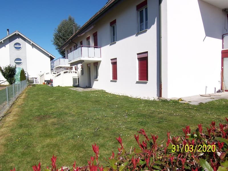 Appartamento di 1.5 camere con giardino in zona verde e lavanderia privata (18)