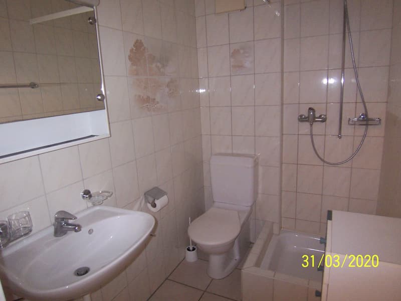 Appartamento di 1.5 camere con giardino in zona verde e lavanderia privata (12)