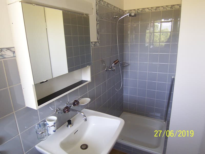 *****Oasi verde*****Appartamento 1 1/2 locali in zona verde***** (9)
