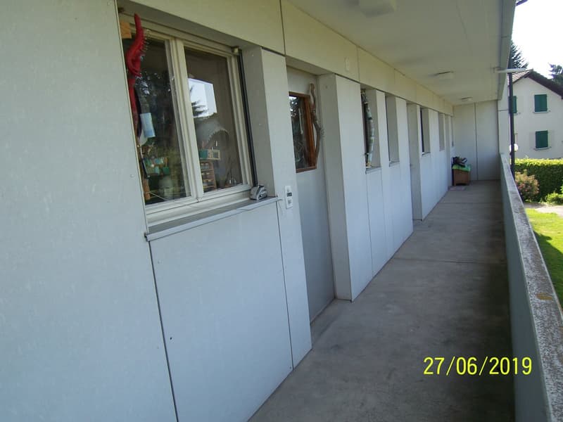 *****Oasi verde*****Appartamento 1 1/2 locali in zona verde***** (14)