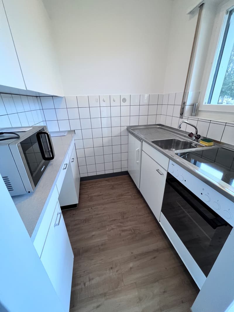 *****Oasi verde*****Appartamento 1 1/2 locali in zona verde***** (5)