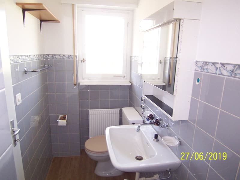 *****Oasi verde*****Appartamento 1 1/2 locali in zona verde***** (7)