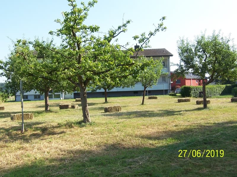 *****Oasi verde*****Appartamento 1 1/2 locali in zona verde***** (17)