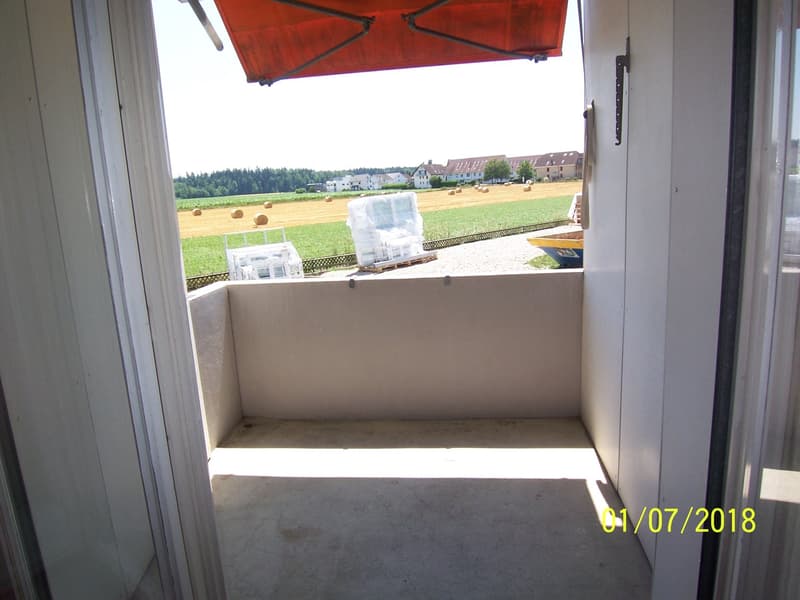 *****Oasi verde*****Appartamento 1 1/2 locali in zona verde***** (13)